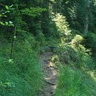 Kniebis 2009 Bild 25